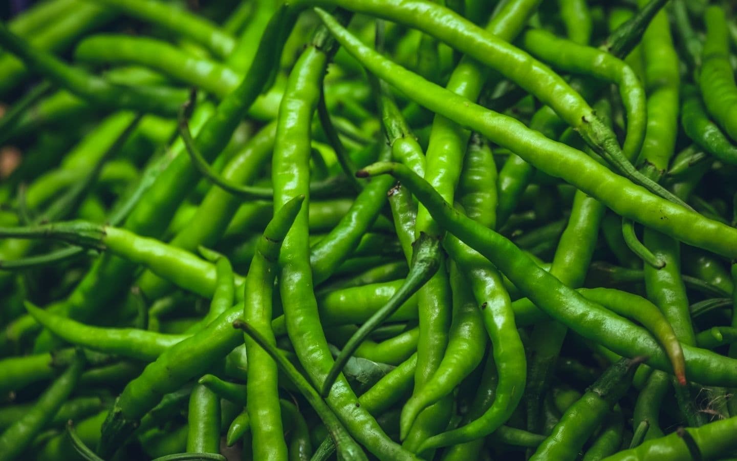 Green Chillies